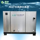 AOP水體凈化系統(tǒng)正面